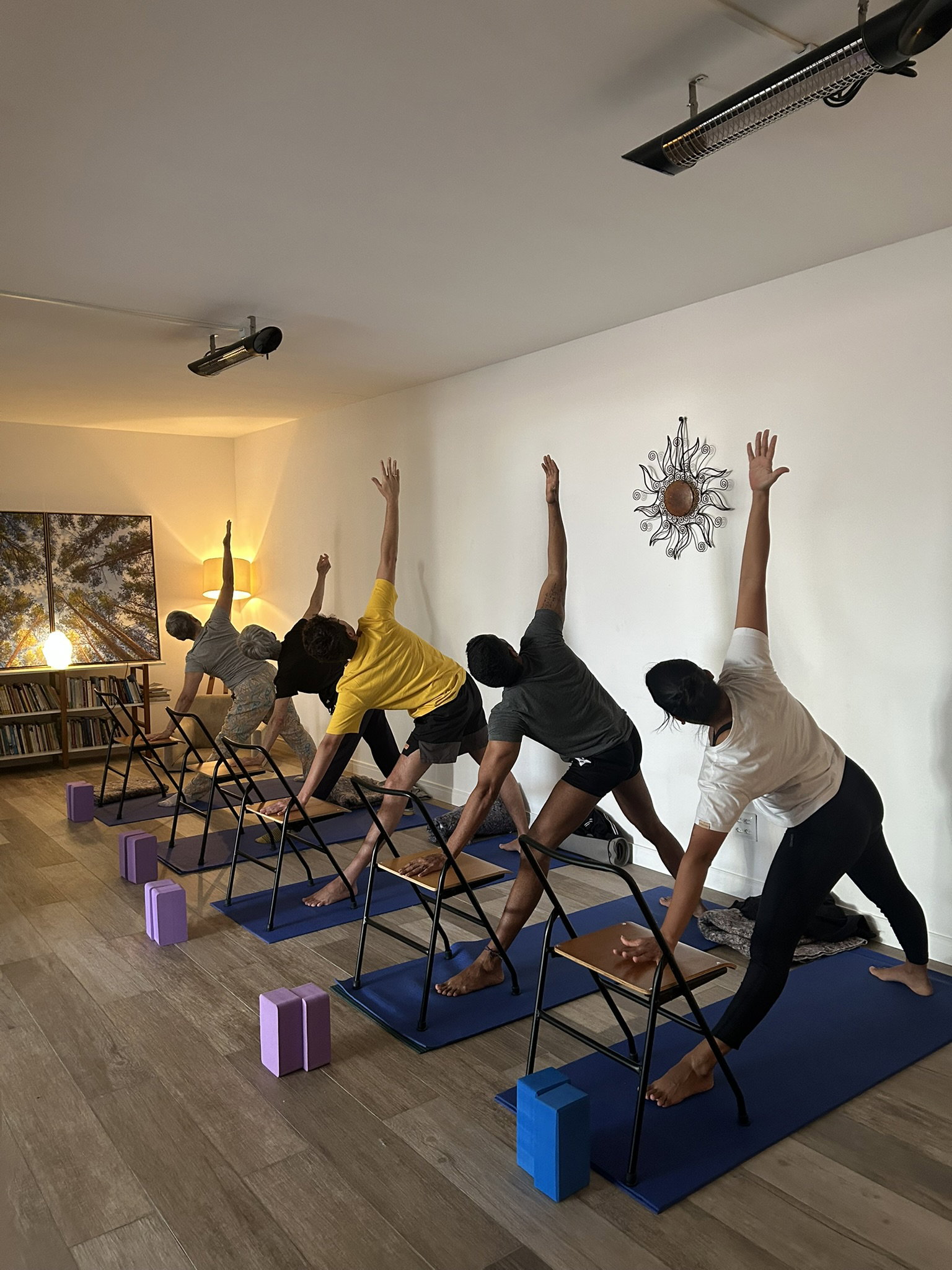 Prática de Hatha Yoga Terapêutico